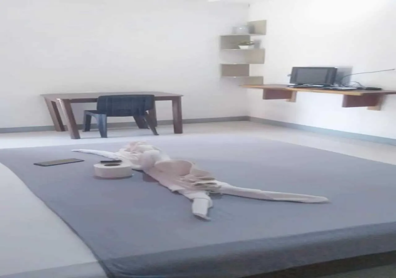 Ashelma Resort Dauis